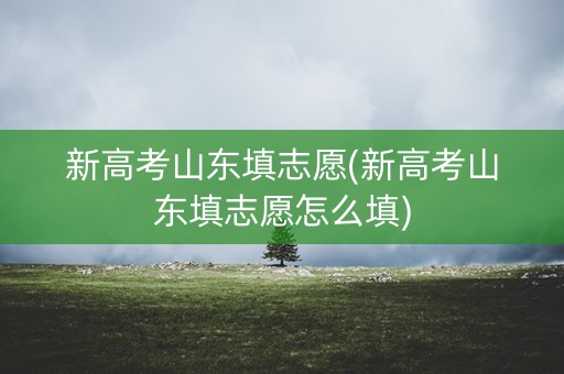 新高考山东填志愿(新高考山东填志愿怎么填)