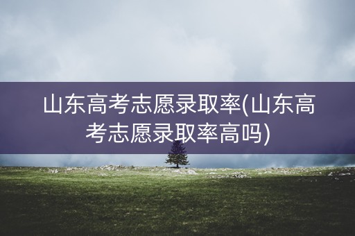 山东高考志愿录取率(山东高考志愿录取率高吗)