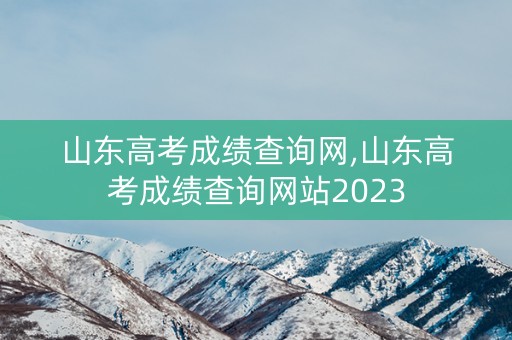 山东高考成绩查询网,山东高考成绩查询网站2023