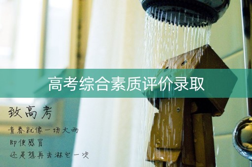 高考综合素质评价录取