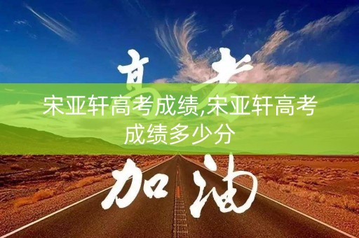 宋亚轩高考成绩,宋亚轩高考成绩多少分