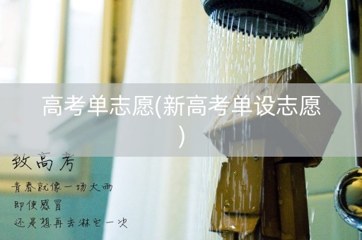 高考单志愿(新高考单设志愿)