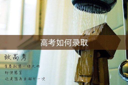 高考如何录取