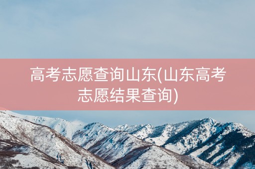 高考志愿查询山东(山东高考志愿结果查询)