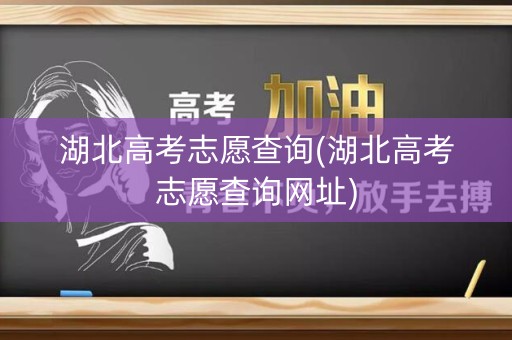 湖北高考志愿查询(湖北高考志愿查询网址)