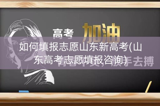 如何填报志愿山东新高考(山东高考志愿填报咨询)