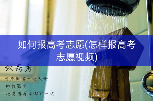 如何报高考志愿(怎样报高考志愿视频)