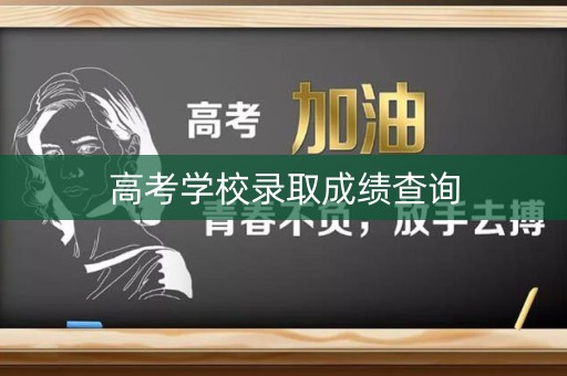 高考学校录取成绩查询 高考学校录取成绩查询