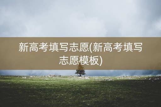 新高考填写志愿(新高考填写志愿模板) 新高考填写志愿(新高考填写志愿模板)