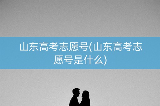 山东高考志愿号(山东高考志愿号是什么)