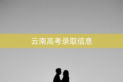 云南高考录取信息