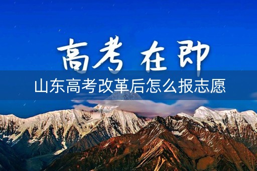 山东高考改革后怎么报志愿