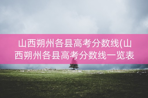 山西朔州各县高考分数线(山西朔州各县高考分数线一览表)