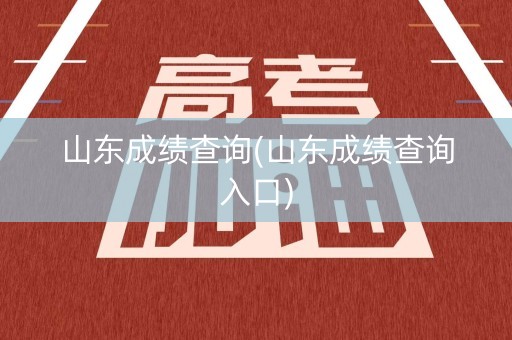山东成绩查询(山东成绩查询入口)