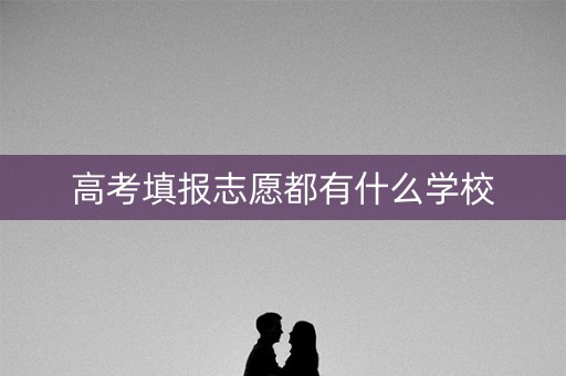 高考填报志愿都有什么学校