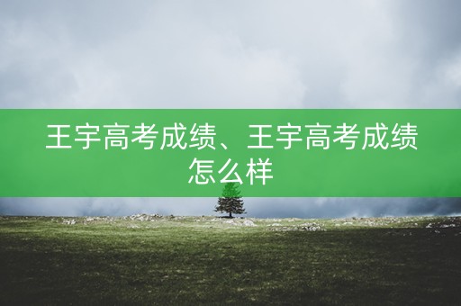 王宇高考成绩、王宇高考成绩怎么样