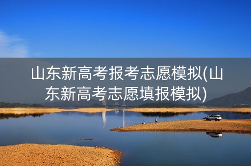 山东新高考报考志愿模拟(山东新高考志愿填报模拟)