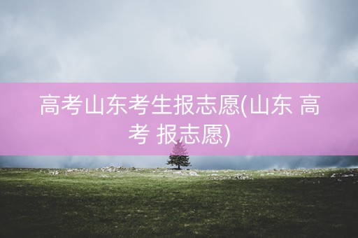 高考山东考生报志愿(山东 高考 报志愿)