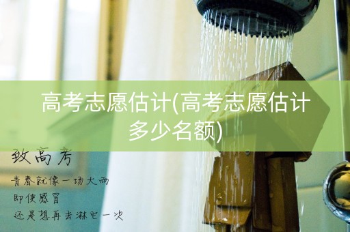高考志愿估计(高考志愿估计多少名额)