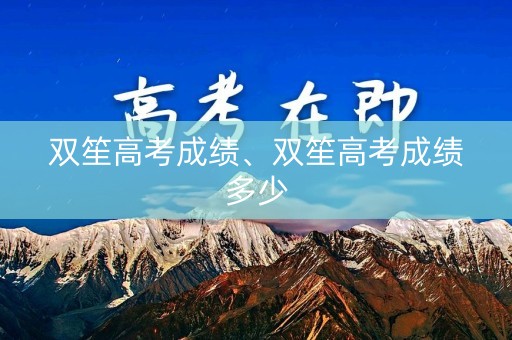 双笙高考成绩、双笙高考成绩多少