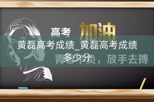 黄磊高考成绩_黄磊高考成绩多少分