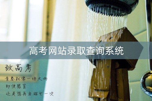 高考网站录取查询系统