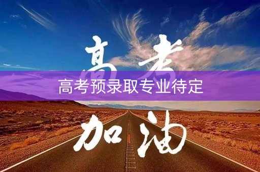 高考预录取专业待定