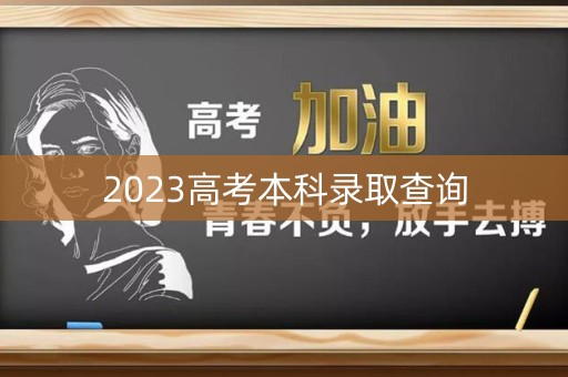 2023高考本科录取查询