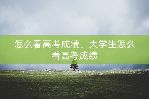 怎么看高考成绩、大学生怎么看高考成绩