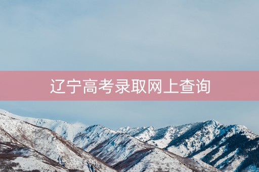 辽宁高考录取网上查询