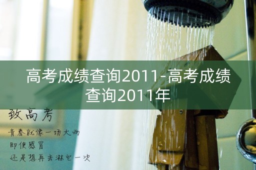 高考成绩查询2011-高考成绩查询2011年