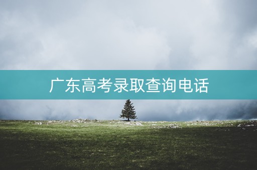 广东高考录取查询电话