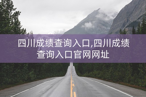 四川成绩查询入口,四川成绩查询入口官网网址