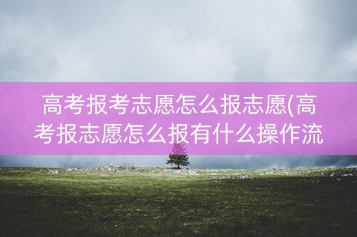 高考报考志愿怎么报志愿(高考报志愿怎么报有什么操作流程)
