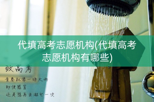 代填高考志愿机构(代填高考志愿机构有哪些)