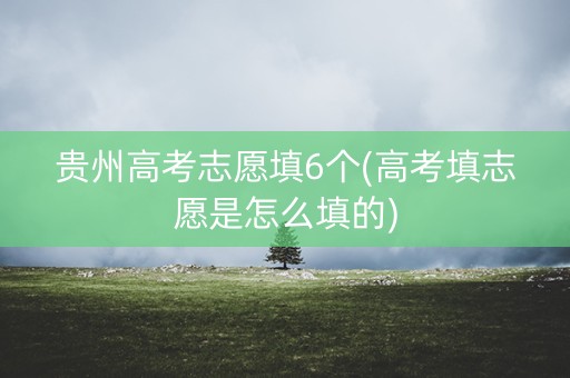 贵州高考志愿填6个(高考填志愿是怎么填的)
