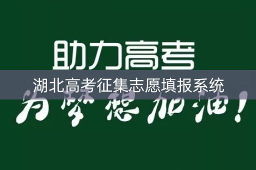 湖北高考征集志愿填报系统