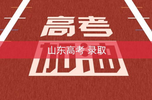 山东高考 录取