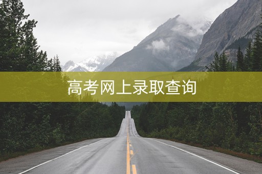 高考网上录取查询