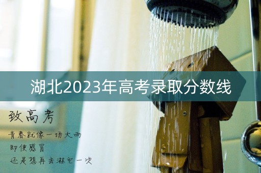湖北2023年高考录取分数线