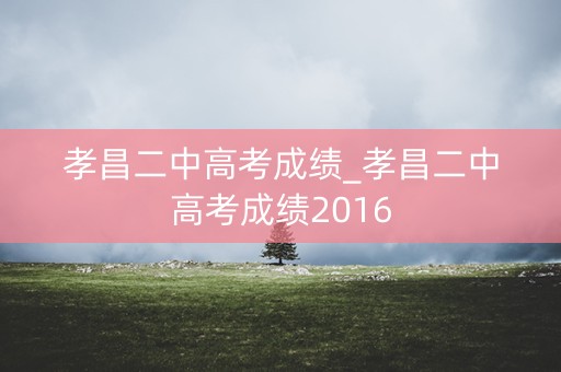 孝昌二中高考成绩_孝昌二中高考成绩2016