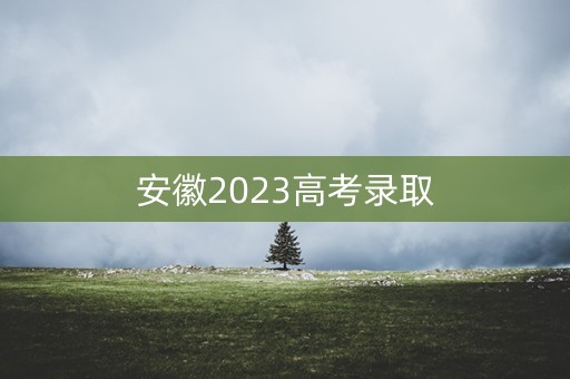 安徽2023高考录取