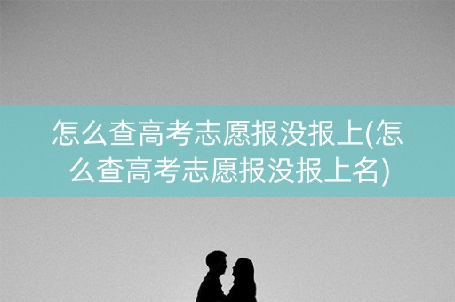 怎么查高考志愿报没报上(怎么查高考志愿报没报上名)