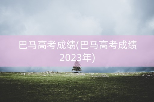 巴马高考成绩(巴马高考成绩2023年)