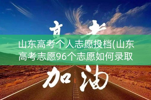山东高考个人志愿投档(山东高考志愿96个志愿如何录取)