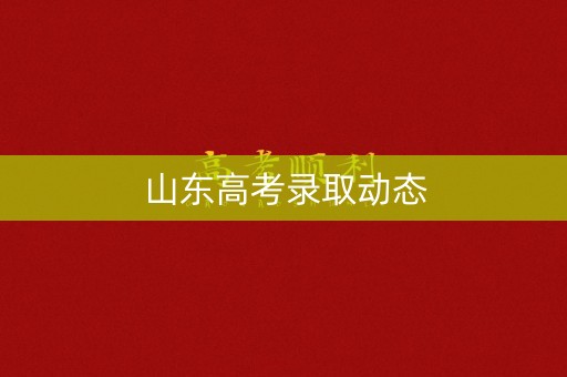 山东高考录取动态