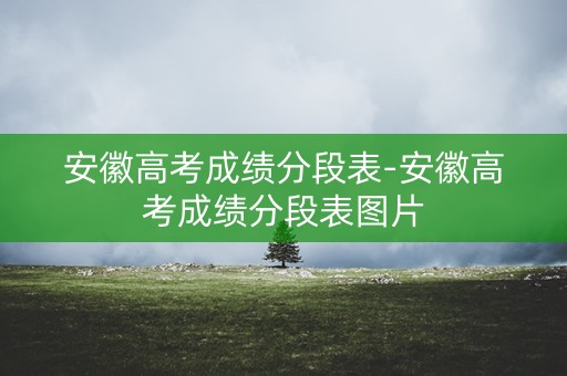 安徽高考成绩分段表-安徽高考成绩分段表图片