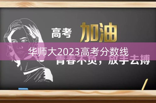 华师大2023高考分数线