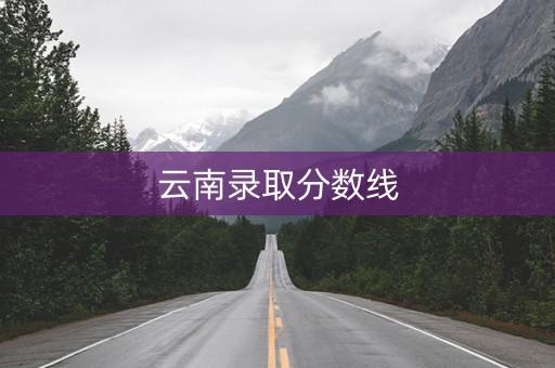 云南录取分数线