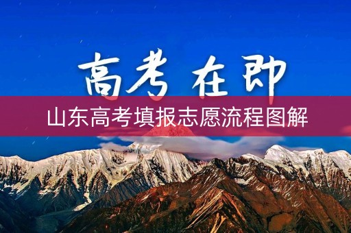 山东高考填报志愿流程图解